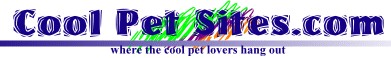 Cool pet sites
