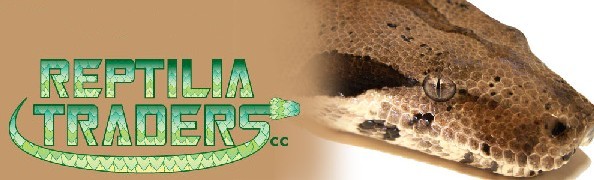 Sponsor : Reptilia Traders Logo
